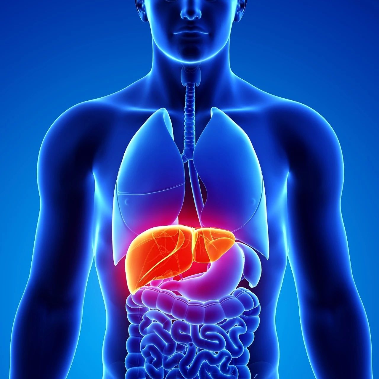 肝癌的隐蔽性极强，发现就是晚期，这些症状要警惕